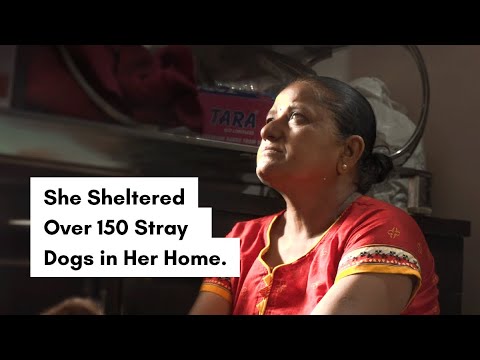 A Local Dog Rescuer Who Has Sheltered Over 150 Dogs in Her Own Home | Non Fiction Film