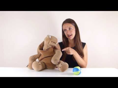 Stay there Tonton! - Children's French lessons