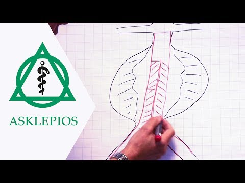 Yalta Sanatorium Behandlung von Osteoarthritis Myositis zurück Symptome und Behandlung