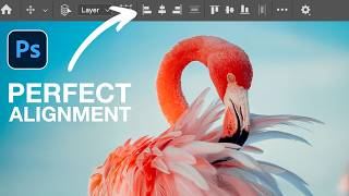How to Use the Alignment Tools in Photoshop