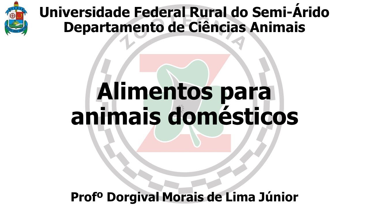 Sorgo grão e subprodutos