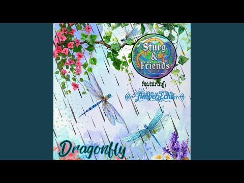 Dragonfly - Sturg and Friends