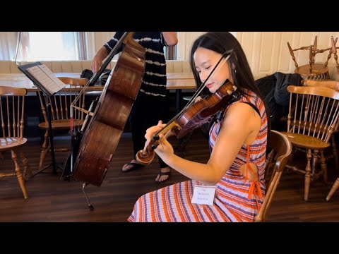 Stompin at the Decca - Gypsy Jazz Jam - Tim Kliphuis (Netherlands) jam facilitator- Django in June