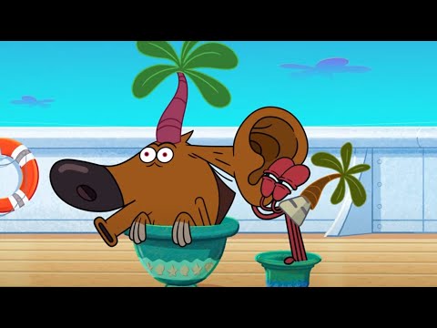 (NEW) ZIG AND SHARKO 4 | The new plan (SEASON 4) New episodes | Cartoon Collection for kids