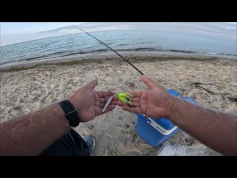 Flatfish fishing with a spinning rod on 17.08.2024 / Fishing at the beach