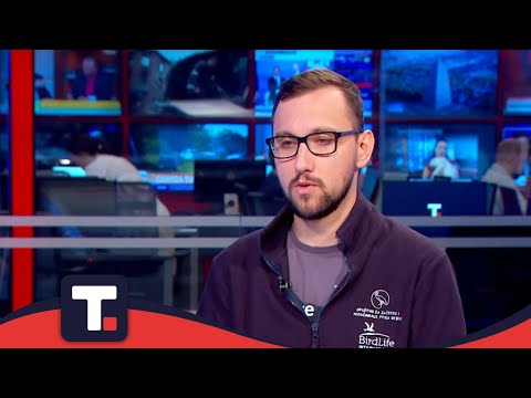 Koliko ugroženih životinja i ptica ima u našoj zemlji? - Slobodan Knežević • DOBRO JUTRO TANJUG