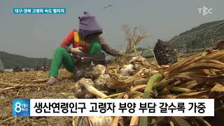 대구•경북 고령화 속도 빨라져 191024 [TBC-띠비띠]