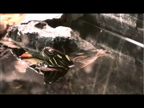 Explore And More Nature Zone