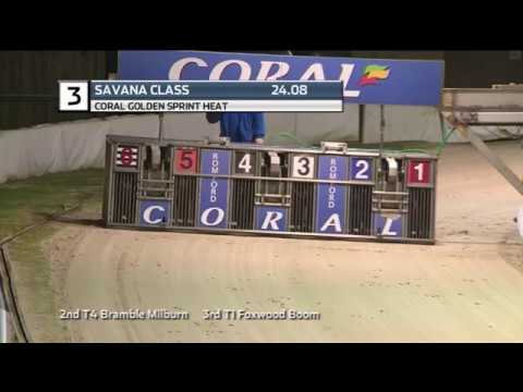 2019 CORAL GOLDEN SPRINT - HEAT 1 - T3 SAVANA CLASS