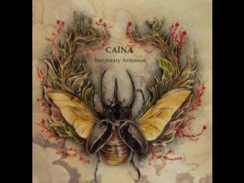 Them golds and brass