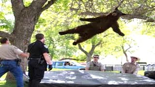 1 hour of memes, but you will laugh every second 😂