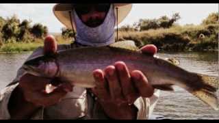 preview picture of video 'Gray reef fishing trip'