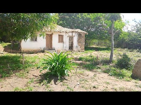 I had to run out of that house, it was terrible!