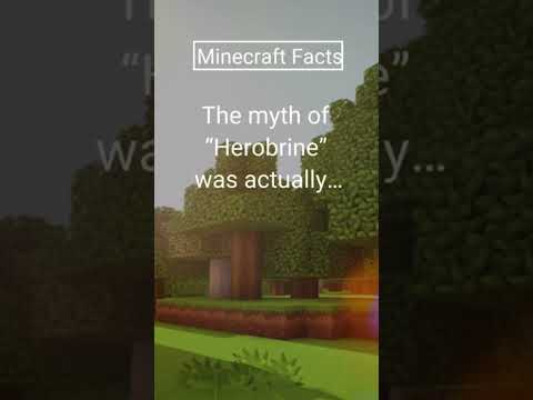 Did you know? Minecraft Theory