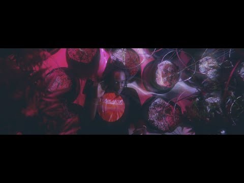 Shoreline Mafia (Rob Vicious) - Traplantic [Official Music Video]