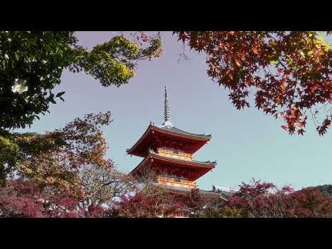 Six Senses Kyoto, Japan Oasis in downtown Kyoto.