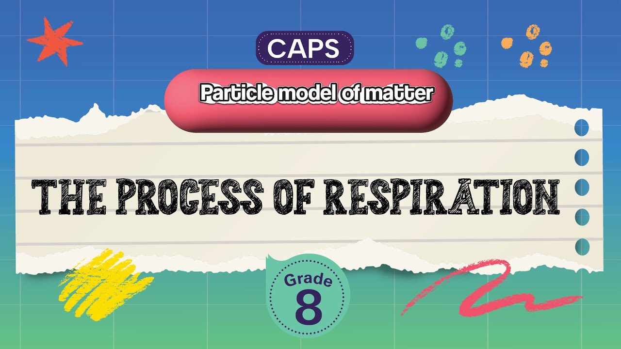 [GRADE 8] The process of respiration
