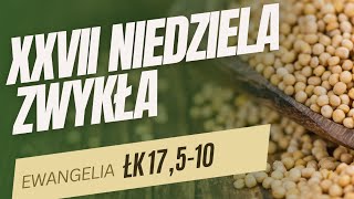 XXVII Niedziela Zwykła, rok C