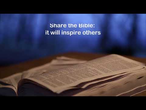 Women's Study Bible KJV
