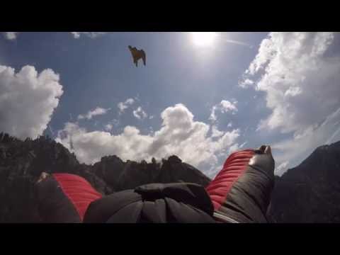 Peregrine Falcon Chases Me