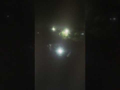 San Borja beni Bolivia 🟡🟢 #hololive #hoshimachi_suisei #bolivia