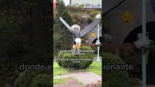 Ketchikan Cruise Tip: FREE Shuttle Every 15 Minutes 🚍 | Alaska Cruise Port Guide