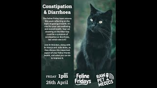 Constipation & Diarrhea in Cats | Raw Pet Medics