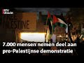 Duizenden mensen in Utrecht om steun te betuigen aan Palestijnen in de Gazastrook. | RTV Utrecht