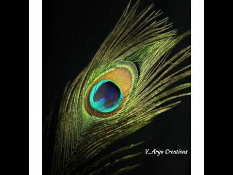 Pavadisu Paramatma Shri Venkatesha Song || Srinivasa kalyana || S.P.Balasubramanyam || ❤️