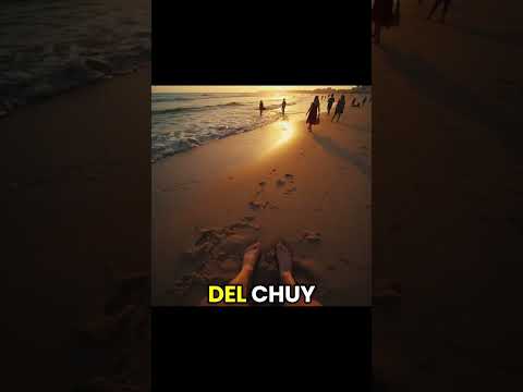 No todos saben esto en Chuy estás literalmente a un paso de Brasil. Sabías eso? #chuy#rocha#frozen