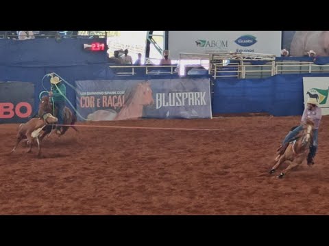 ABQM CONGRESS 2021 - OPEN CATEGORY TIMER - DOUBLE ROPE!!