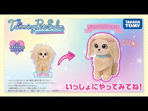【トリミングペットサロン】　いっしょにカットアレンジしてみよう！～ボリュームセンターカット～