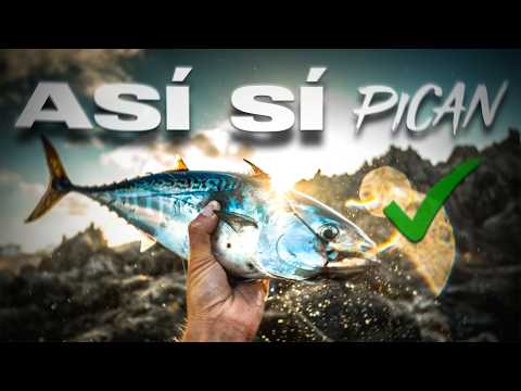 5 KEYS that NO ONE TELLS you when you start fishing with lures