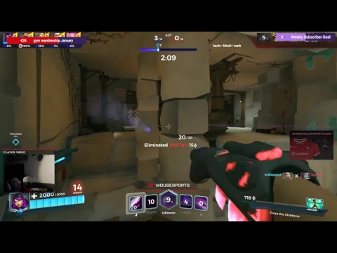 [mousesports] Starting my Paladins adventure!