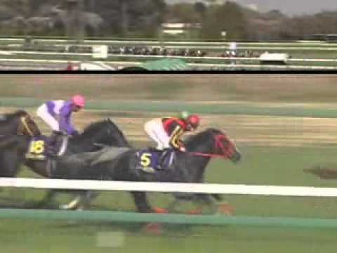2005 Satsuki Sho - Deep Impact