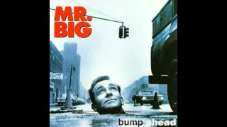 Mr. Big - Price You Gotta Pay