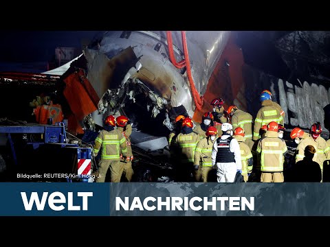 FLUGZEUG-CRASH IN SÜDKOREA: Einsatzkräfte vermuten Vogelschlag als Unglücksursache | WELT STREAM