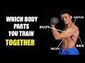 Muscles you CAN TRAIN TOGETHER: Why Muscles CANNOT 