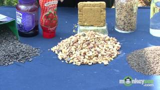 Choose the Right Bird Seed