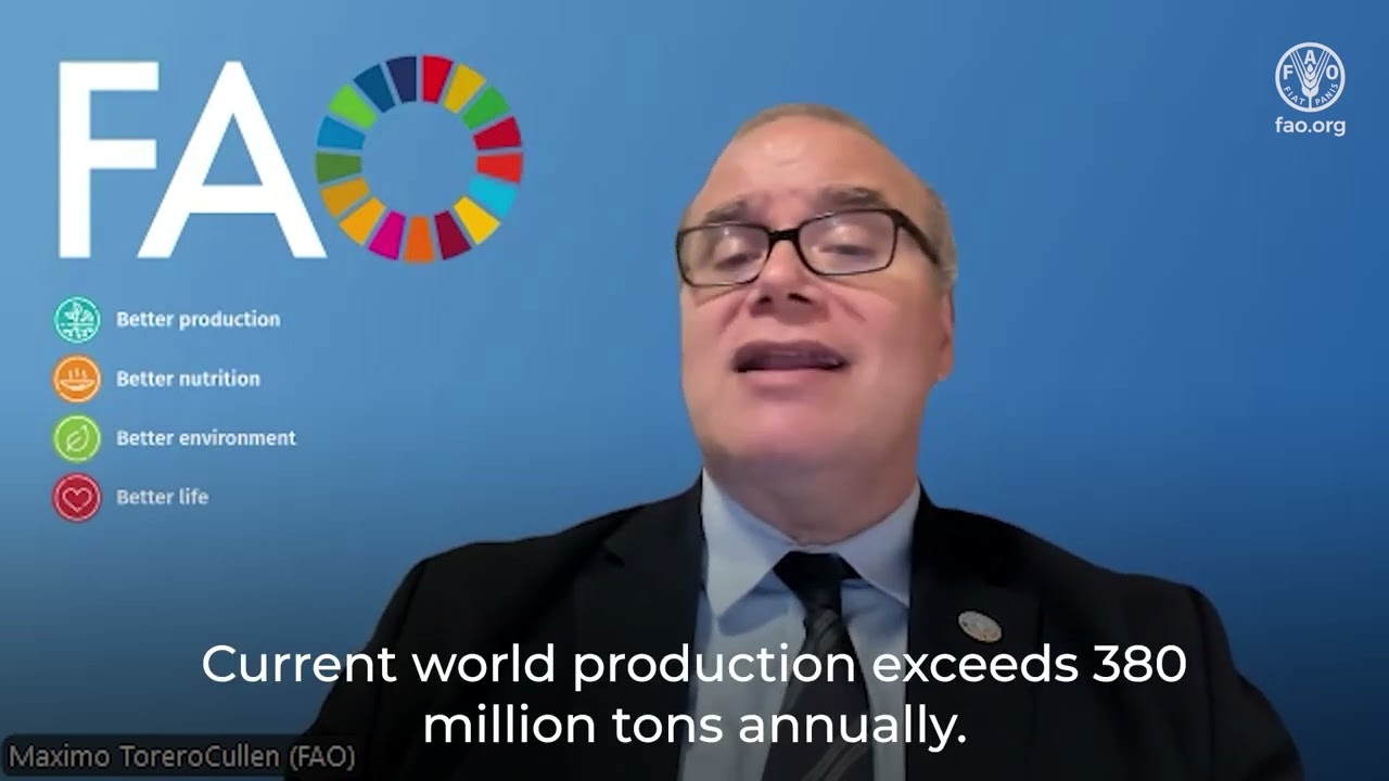 FAO Chief Economist video message for the 2026 International Day of the Potato celebrations