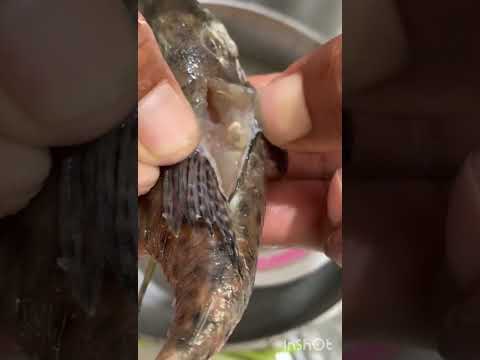 Grave emergencia sanitaria en Sabanalarga Casanare, por contaminación de ríos