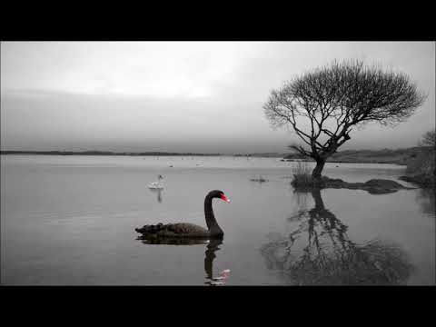 दूसरों का दुखड़ा दूर करने वाले: भजन