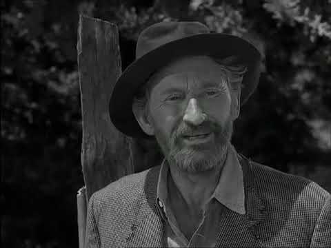 3x19 pt.5 Caccia al procione - Ai Confini Della Realtà (The Twilight Zone)