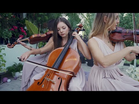 Vanesti Quartet - Jesus bleibet meine Freude J. S. Bach | Oprawa Muzyczna Ślubu