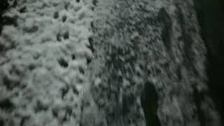 雪降った時はこれするでしょ？