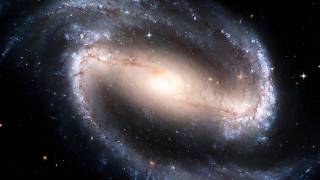 Black Sheep - Dusk (Outro) (Feat. Mums)