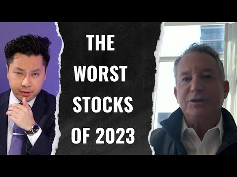 Fund manager reveals best and worst stocks of 2023 | David Barse