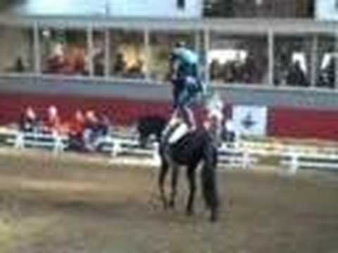 vvlichtenvoorde e-6tal kur maren-kessel