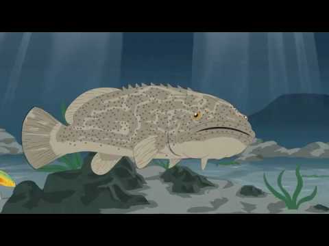 South park cut ending kanye west