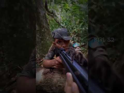 SEM DISTRAÇÕES | SELVA | MILITAR | ARANHA | SNIPER | EXÉRCITO BRASILEIRO